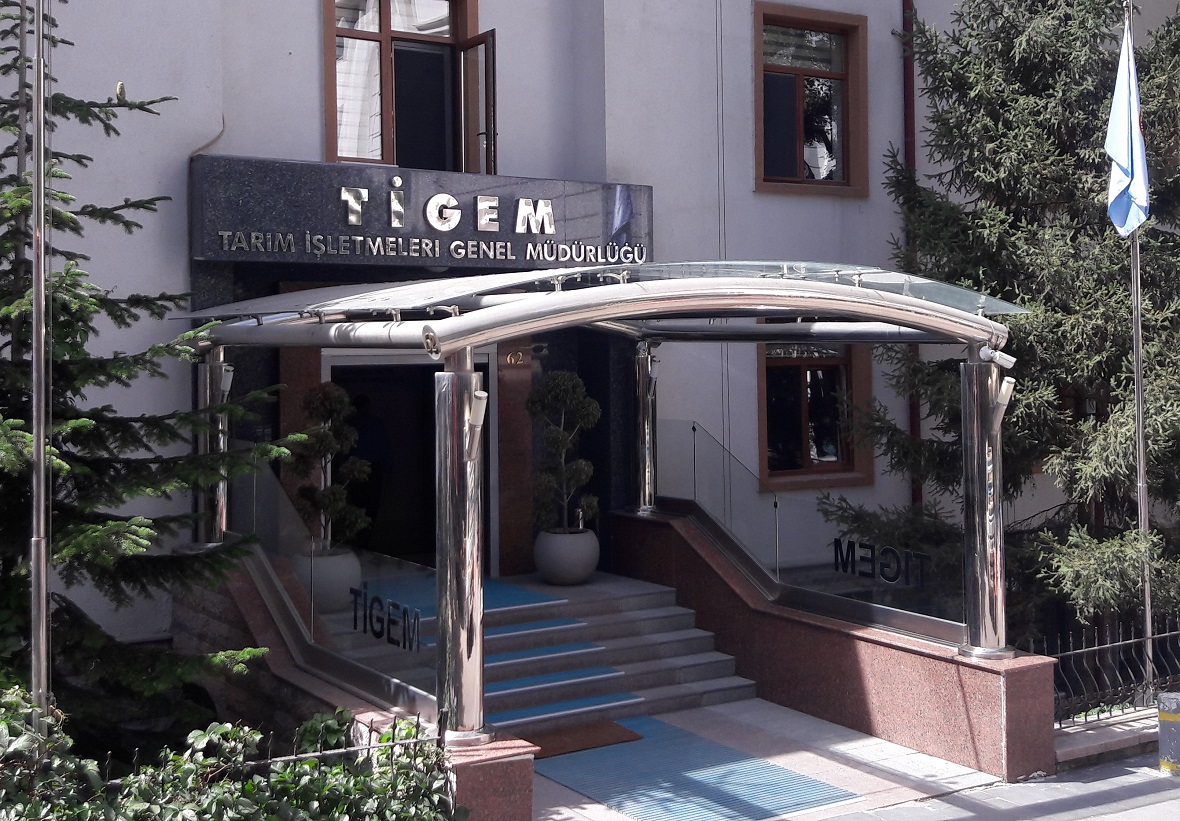 T İ G E M