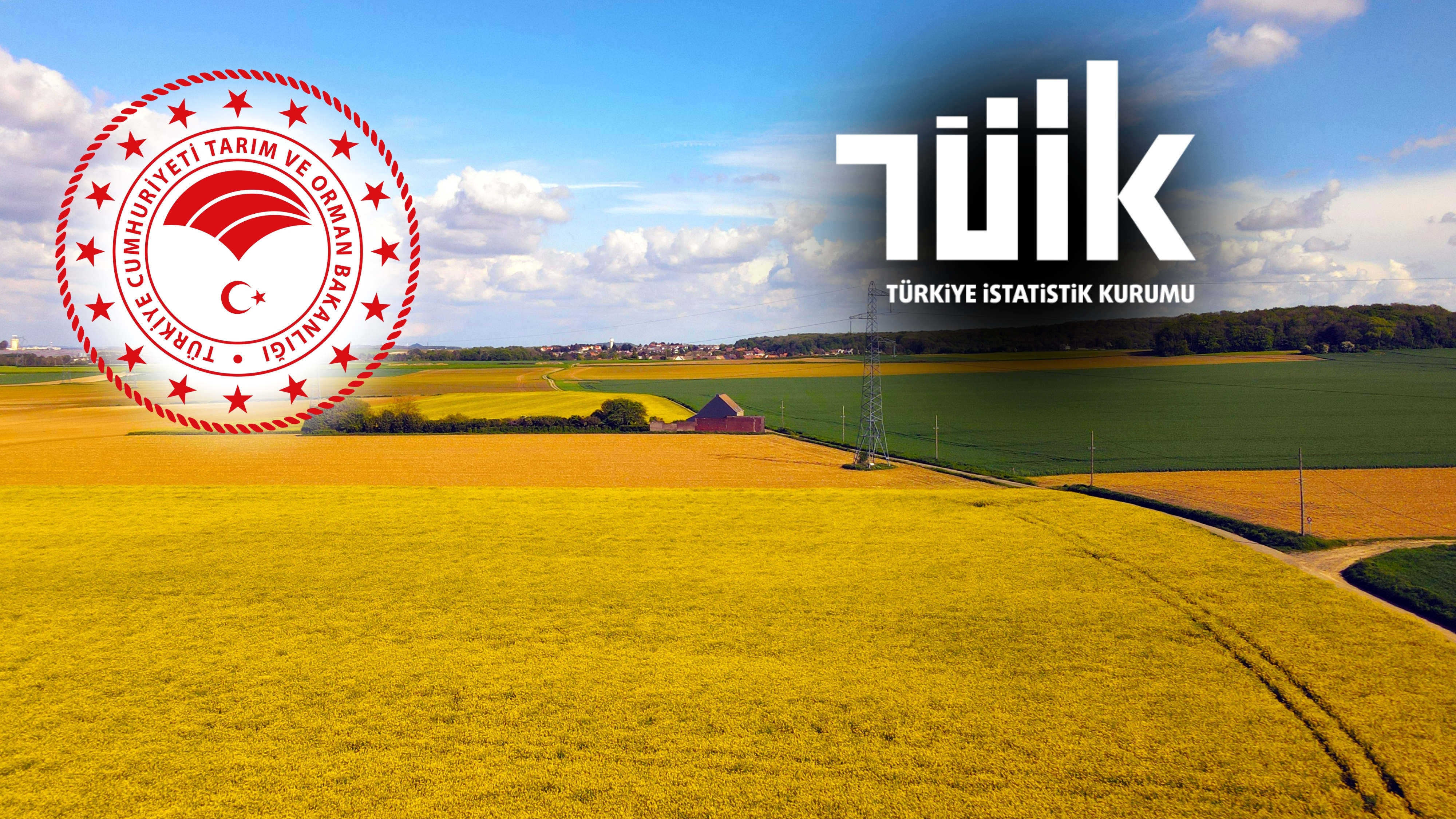 Tarım Ve Orman Bakanlığı Ve Türkiye İstatistik Kurumu (Tüi̇k)