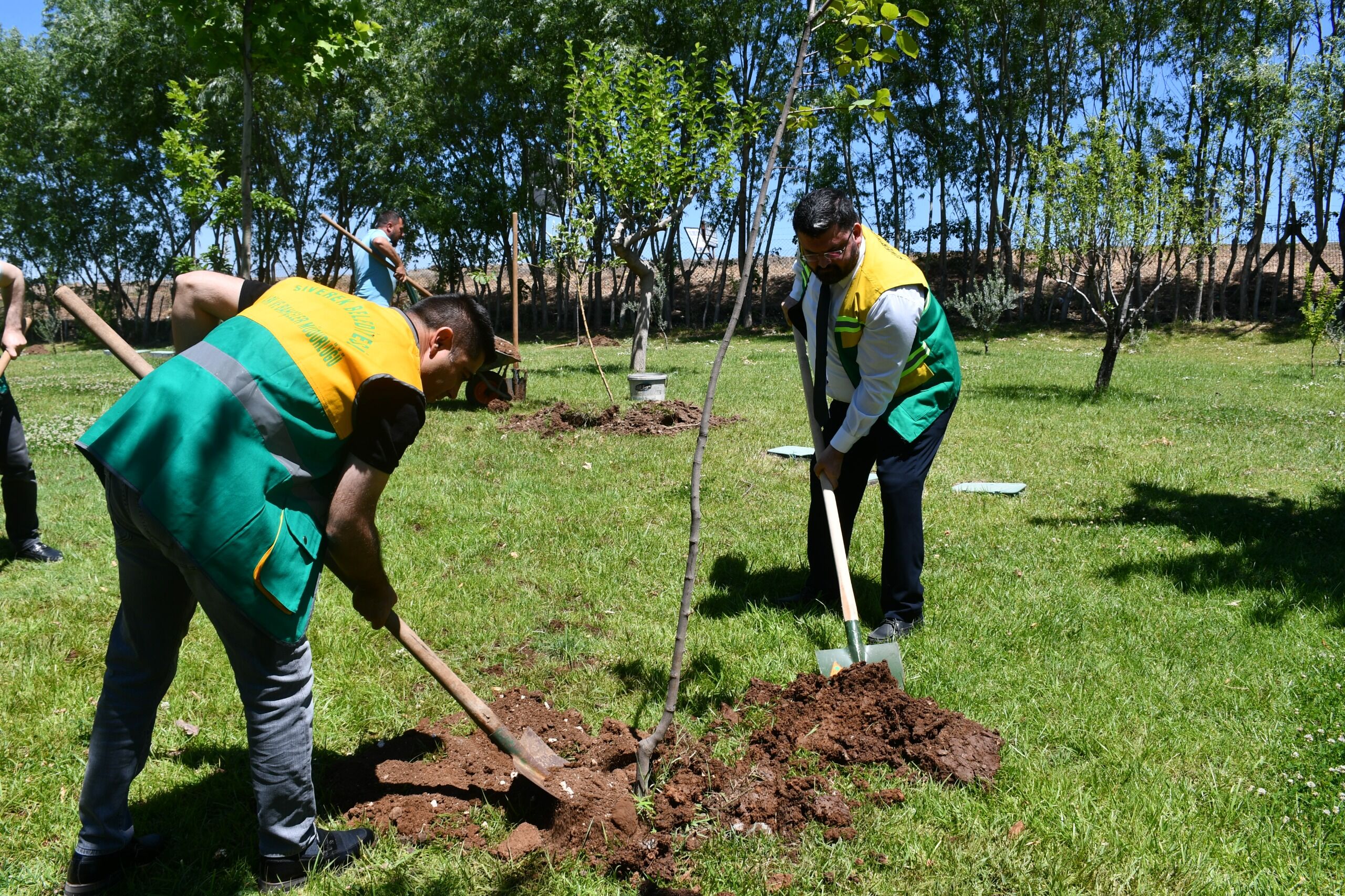 proje-1