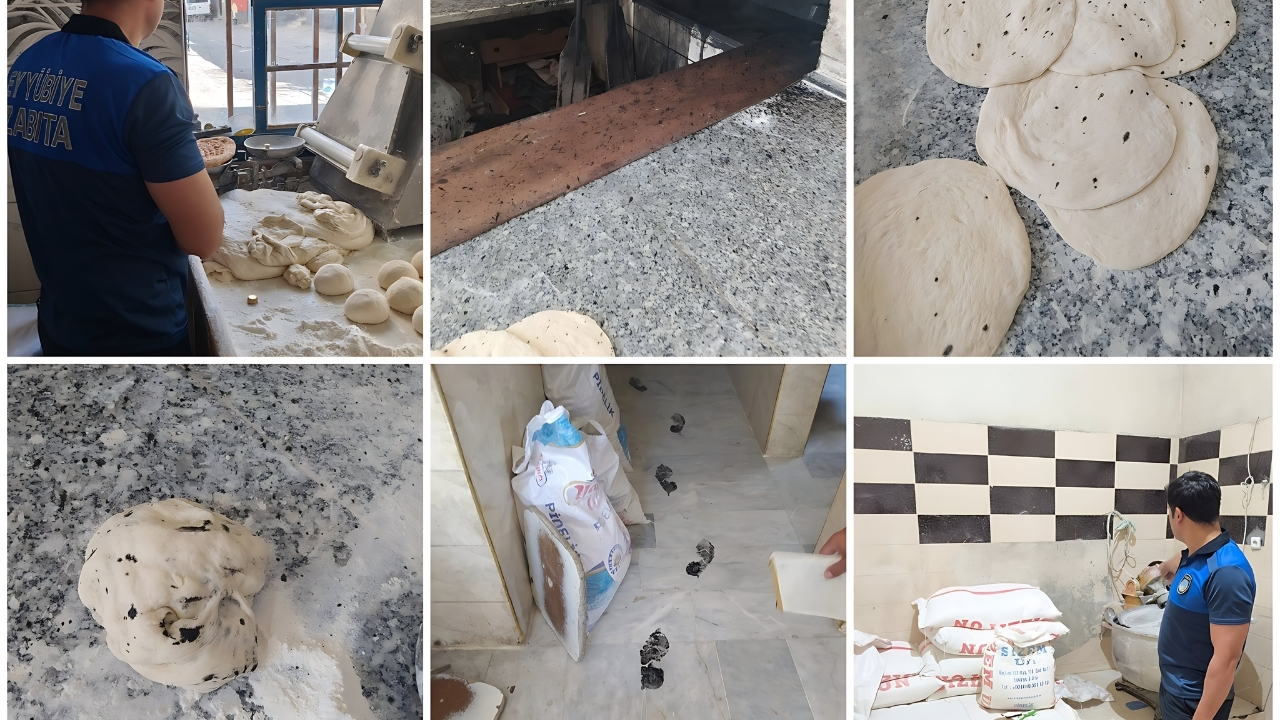 Bu Görüntüler Şanlıurfa'da Bulunan Bir Fırından Görünce Şok Olacaksınız (2)