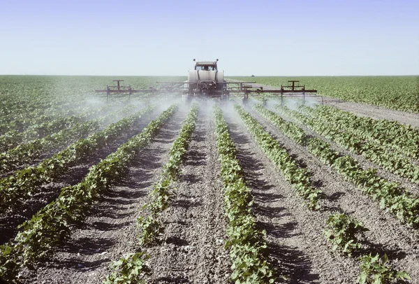 Depositphotos 29737003 Stock Photo Spraying Young Cotton Plants In
