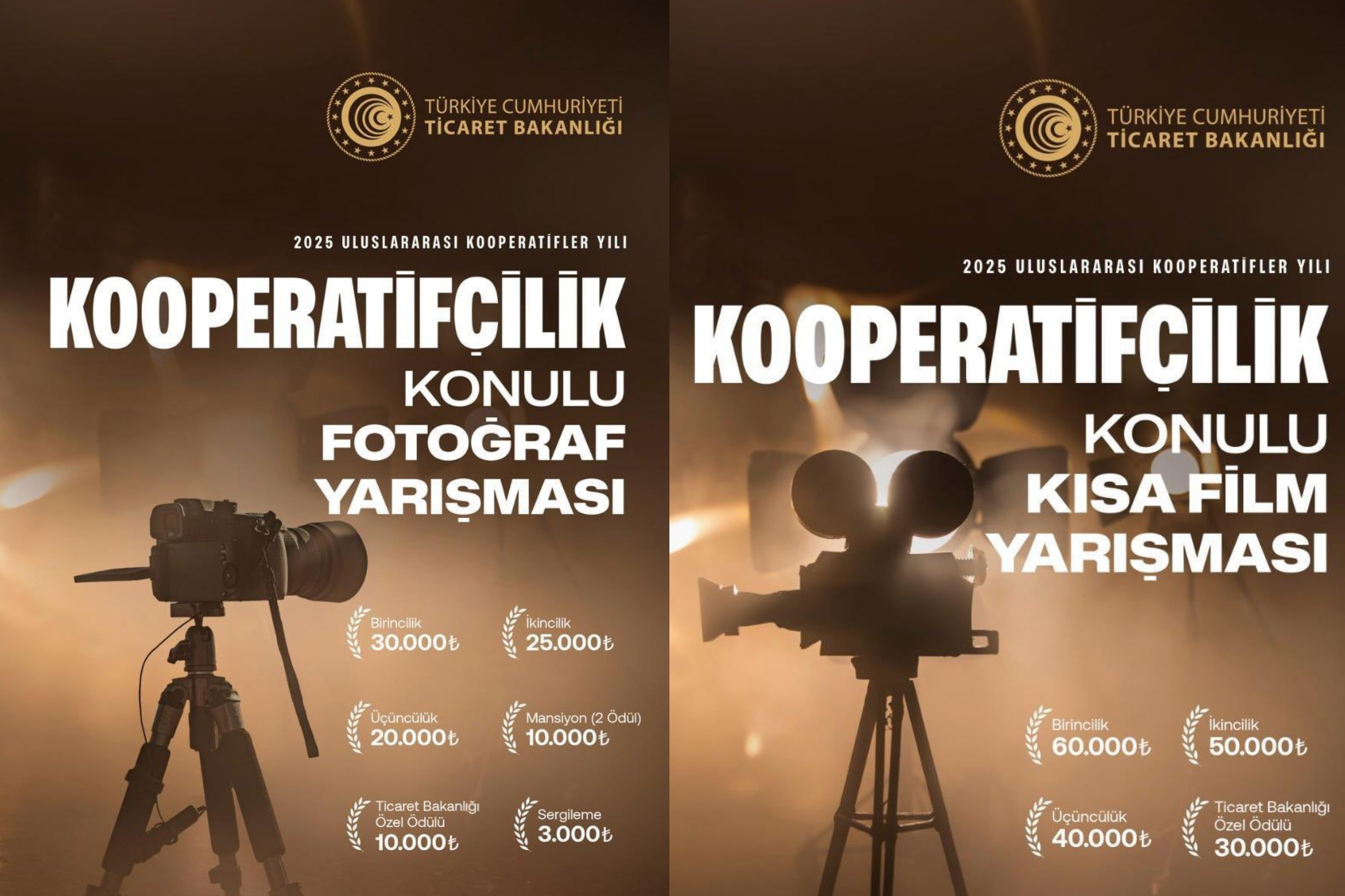 Kooperatif Yarışma Detayları