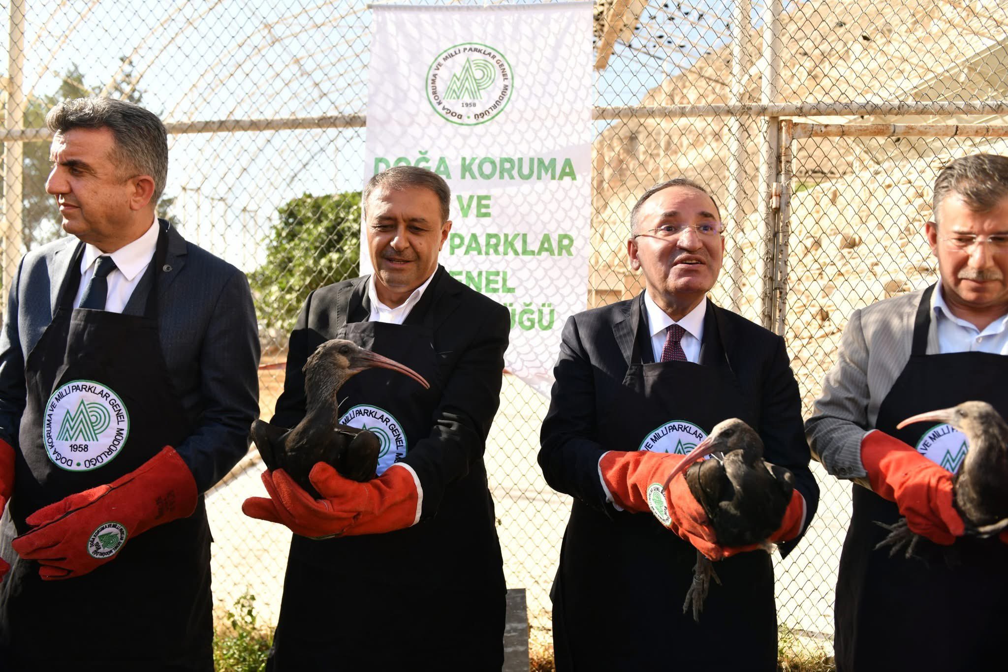 Nesli Tükenme Tehlikesi Altında Bulunan Kelaynak Kuşlarından 45’I, Şanlıurfa’nın Birecik Ilçesindeki Üretim Istasyonunda Koruma Altında Tutuluyordu. Göç Etmeleri Için Uygun Zamanın Gelmesiyle Birlikte, Bu Kuşlar Doğaya Bıra
