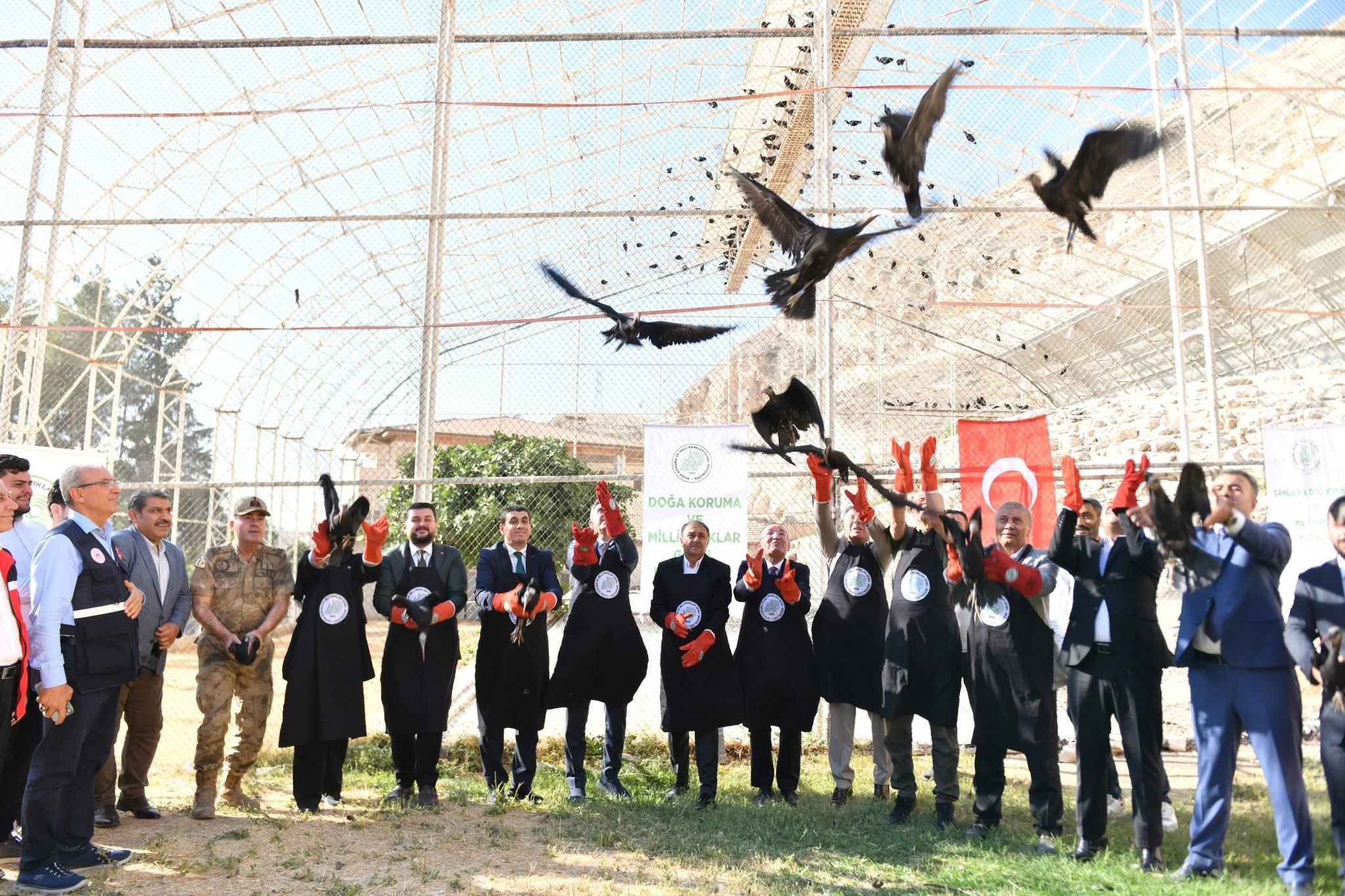 Nesli Tükenme Tehlikesi Altında Bulunan Kelaynak Kuşlarından 45’I, Şanlıurfa’nın Birecik Ilçesindeki Üretim Istasyonunda Koruma Altında Tutuluyordu. Göç Etmeleri Için Uygun Zamanın Gelmesiyle Birlikte, Bu Kuşlar Doğaya Bırakı
