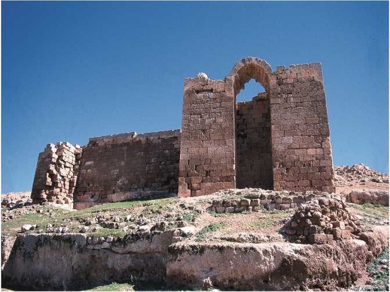Şanlıurfa Viranşehir’de Yüzyıllara Tanıklık Eden Çemdin Kalesi! (2)