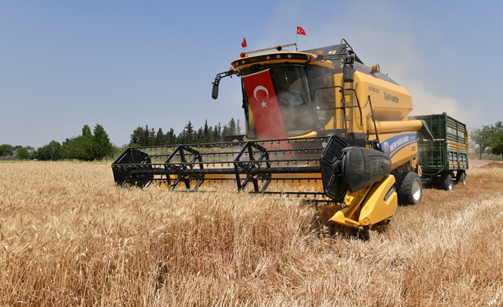 Şanlıurfa’da Buğday 16 Tl’nin Üzerine Çıktı (4)
