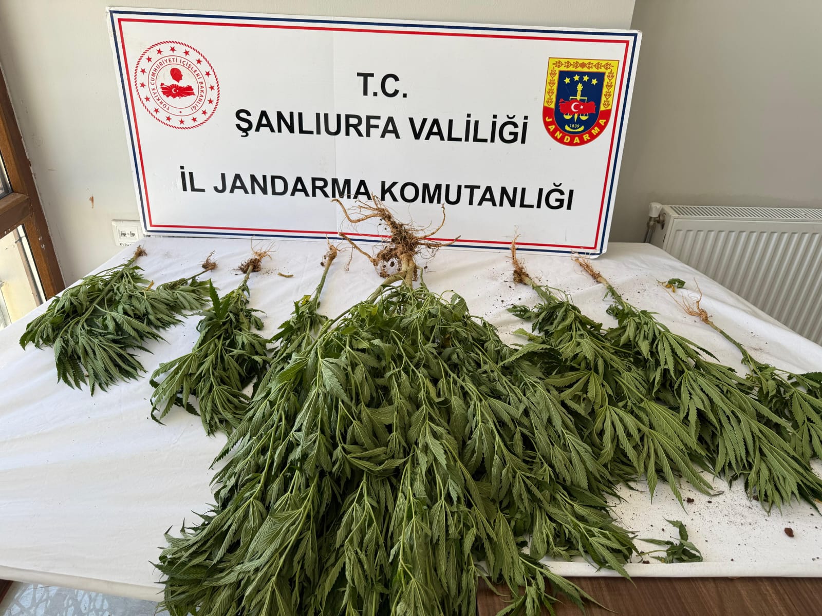Şanlıurfa’nın Birecik, Hilvan Ve Siverek Ilçesinde 6 Ayrı Adrese Operasyon