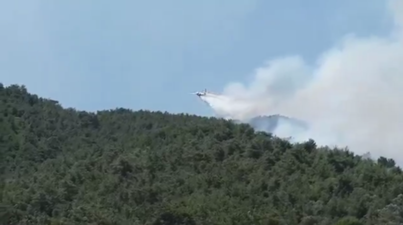 Türkiye Orman Yangınları