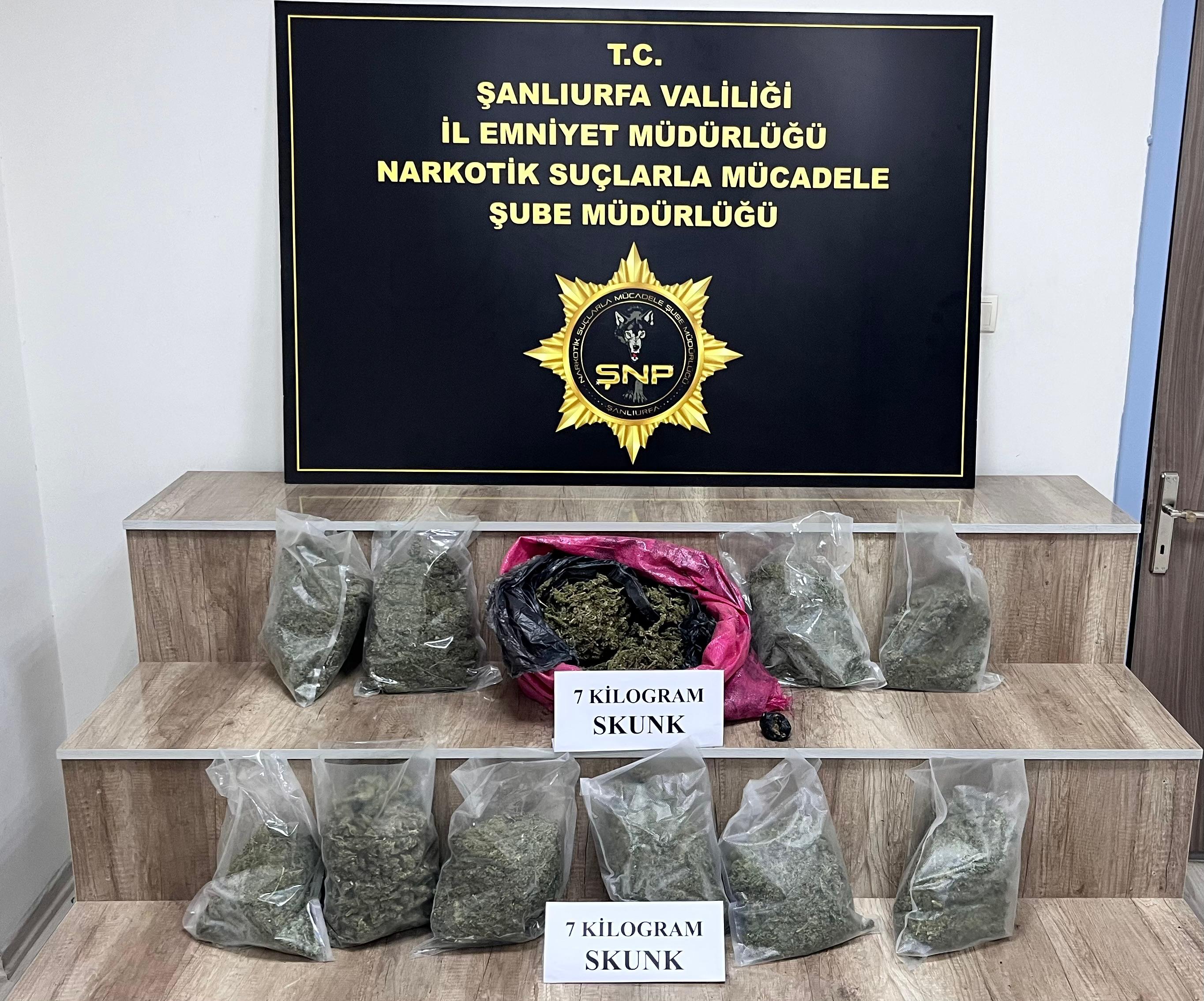 7 Kilo Skunk Ele Geçirildi