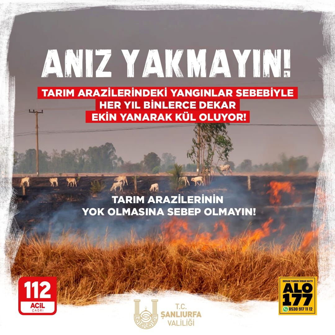 Aniz Yanginlari-1