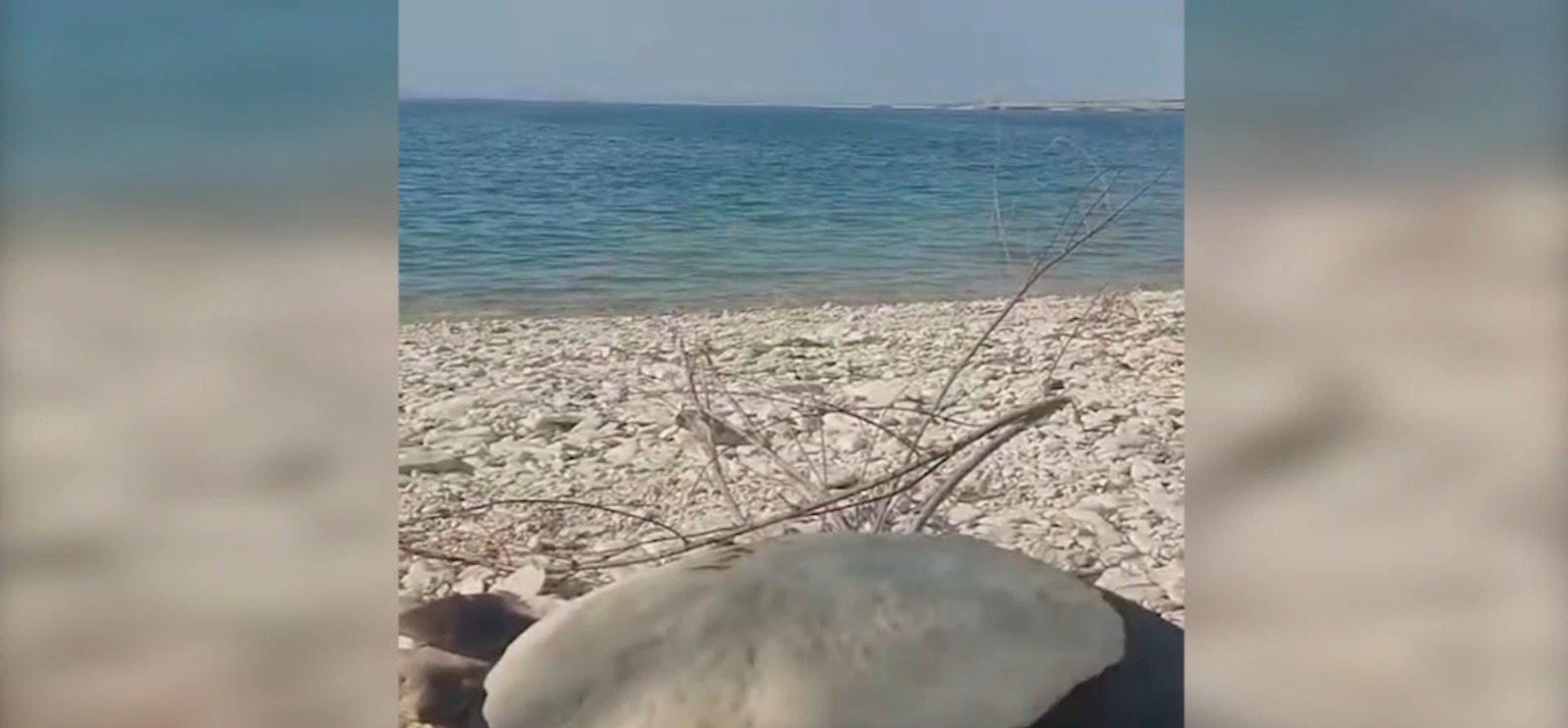 Bozova Ev Ekmeği