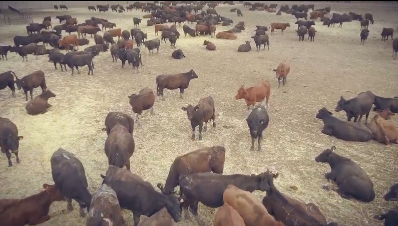 Çiftçiye Destek Projesi