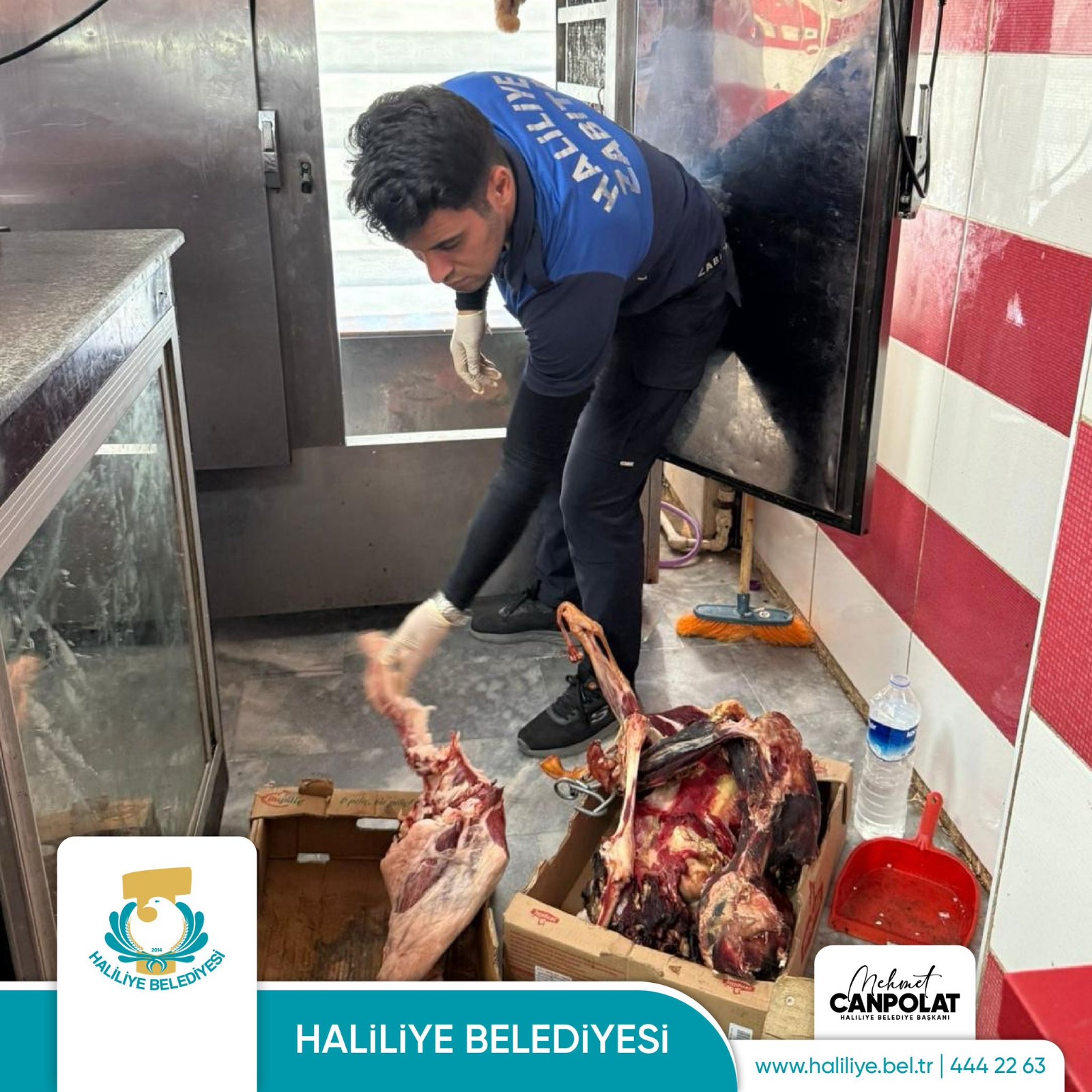 Haliliye’de Kasaplara Sıkı Denetim Bozuk Etlere El Konuldu! (3)