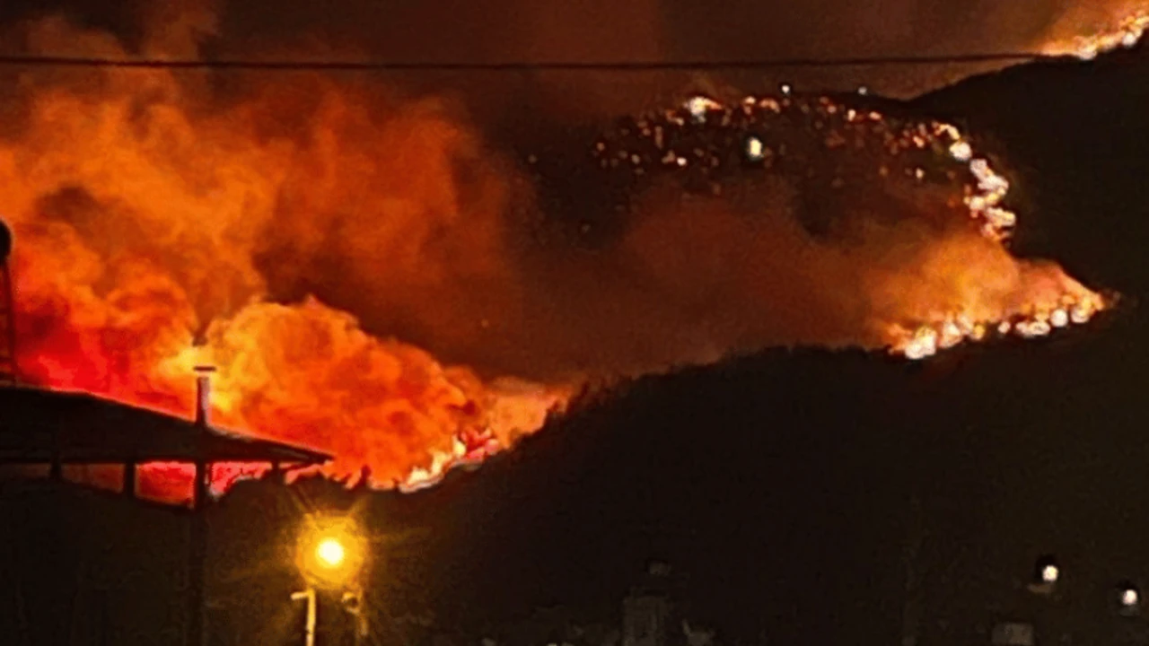 Hatay’da Meydana Gelen Orman Yangını Sonrası Şanlıurfa’dan 2 Itfaiye Aracı Ve 6 Kişilik Uzman Ekip, Bölgeye Gitti (1)