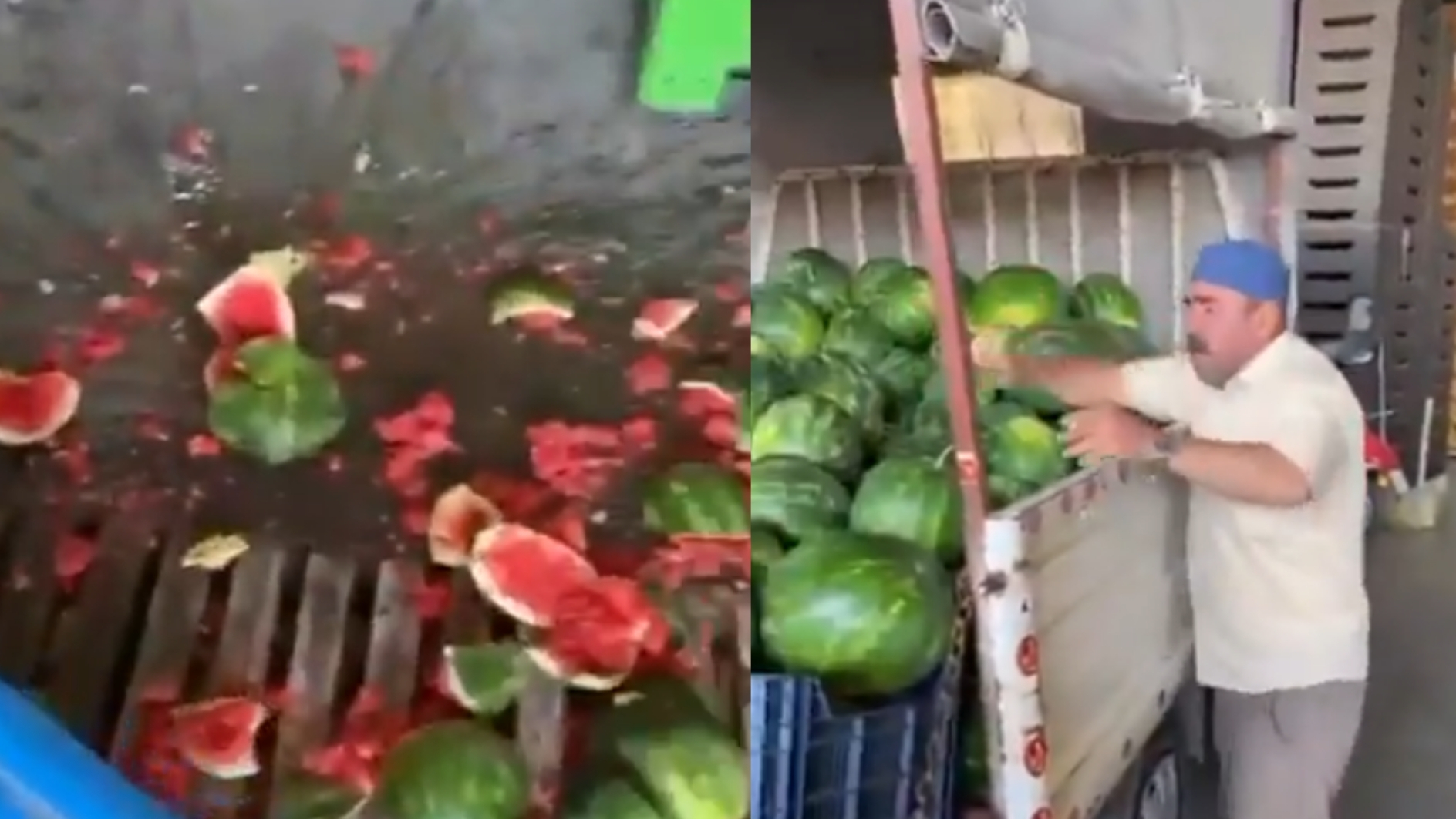 Karpuz Fi̇yatlari 1 2 Tl'ye Kadar Geri̇ledi̇