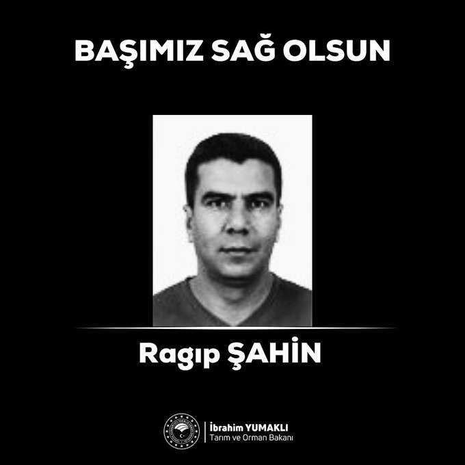 Orman Işçisi Ragıp Şahin Hayatını Kaybetti.