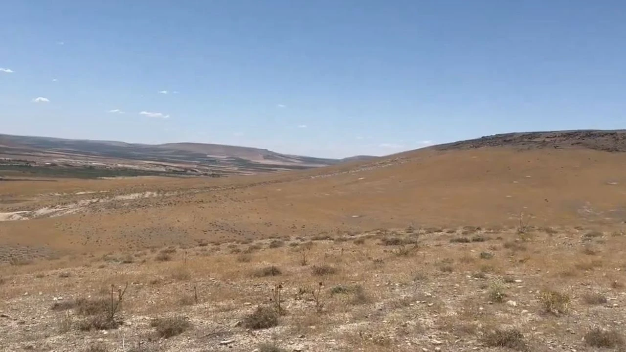 Şanlıurfa'da 63 Bin Fidan Kampanyası Saadet Aişeoğlu (1)