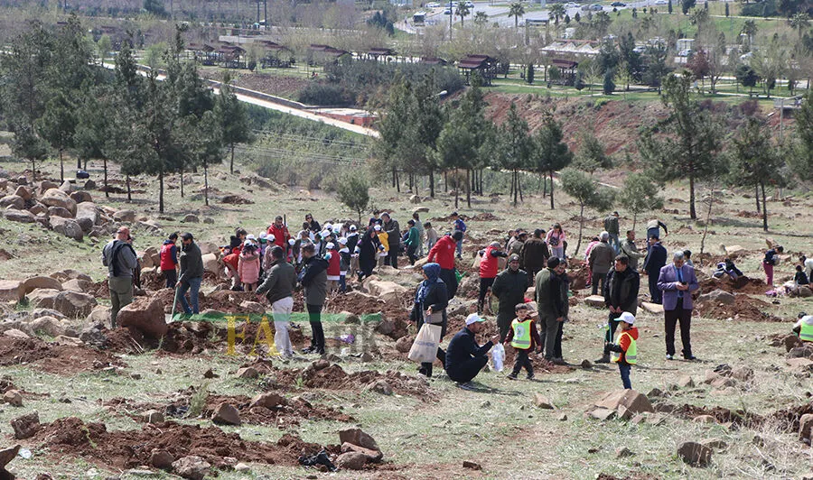 Şanlıurfa'da 63 Bin Fidan Kampanyası Saadet Aişeoğlu (2)