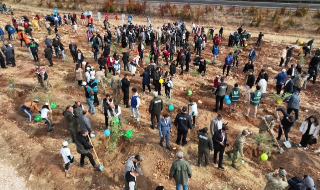 Şanlıurfa'da 63 Bin Fidan Kampanyası Saadet Aişeoğlu (4)