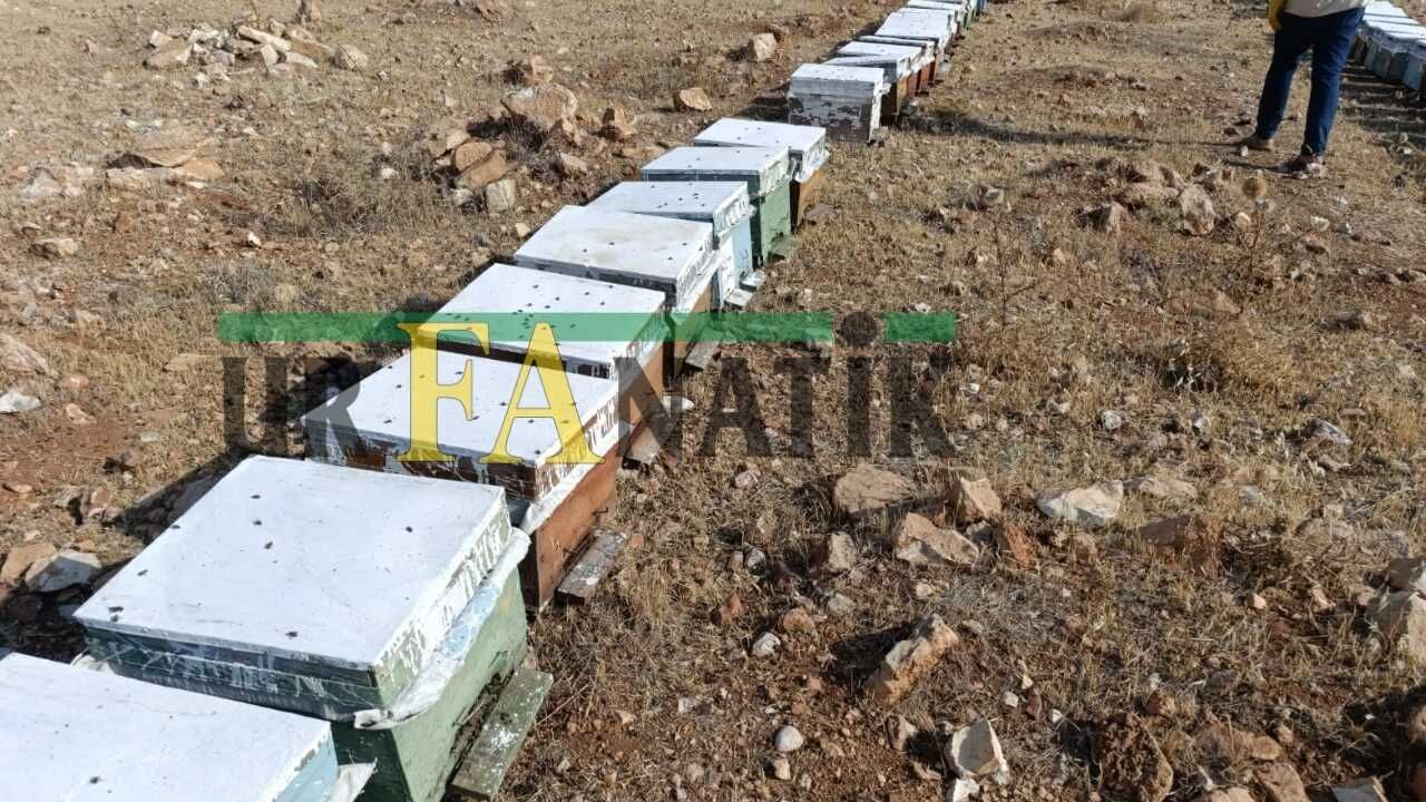 Şanlıurfa’da Aşırı Sıcaklıklar Arıcıları Vurdu. Yaklaşık 8 Bin Arılı Kovan Telef Oldu (3)