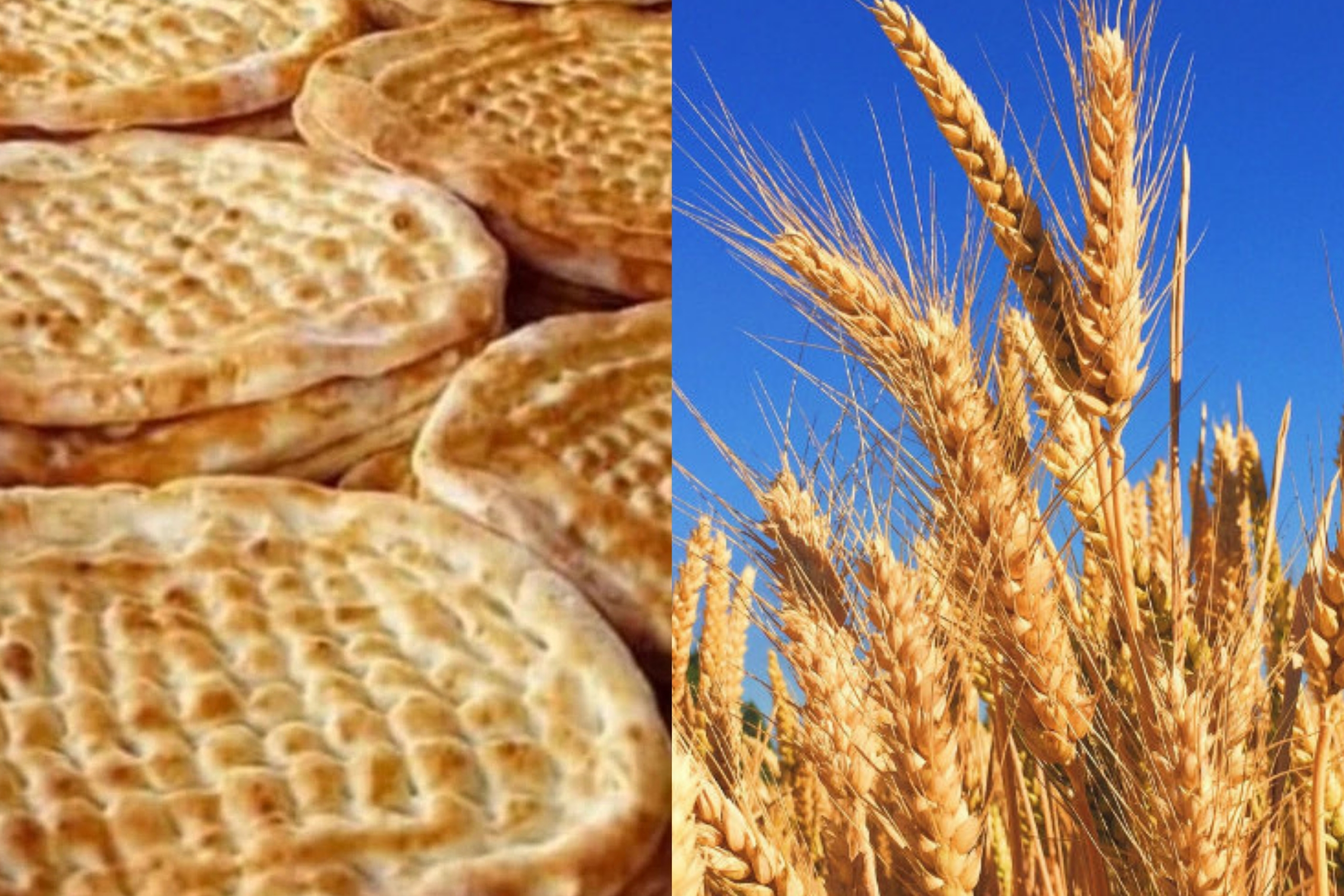 Şanlıurfa'da Buğday Üreticisi Mağdur Fırıncı Mağdur