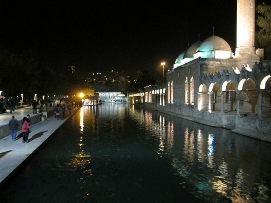 Şanlıurfalılar Gece Buraya Akın Ediyor (3)