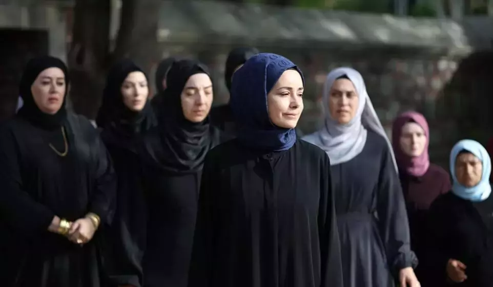 Şükrü Necati Şahin Kariyeri