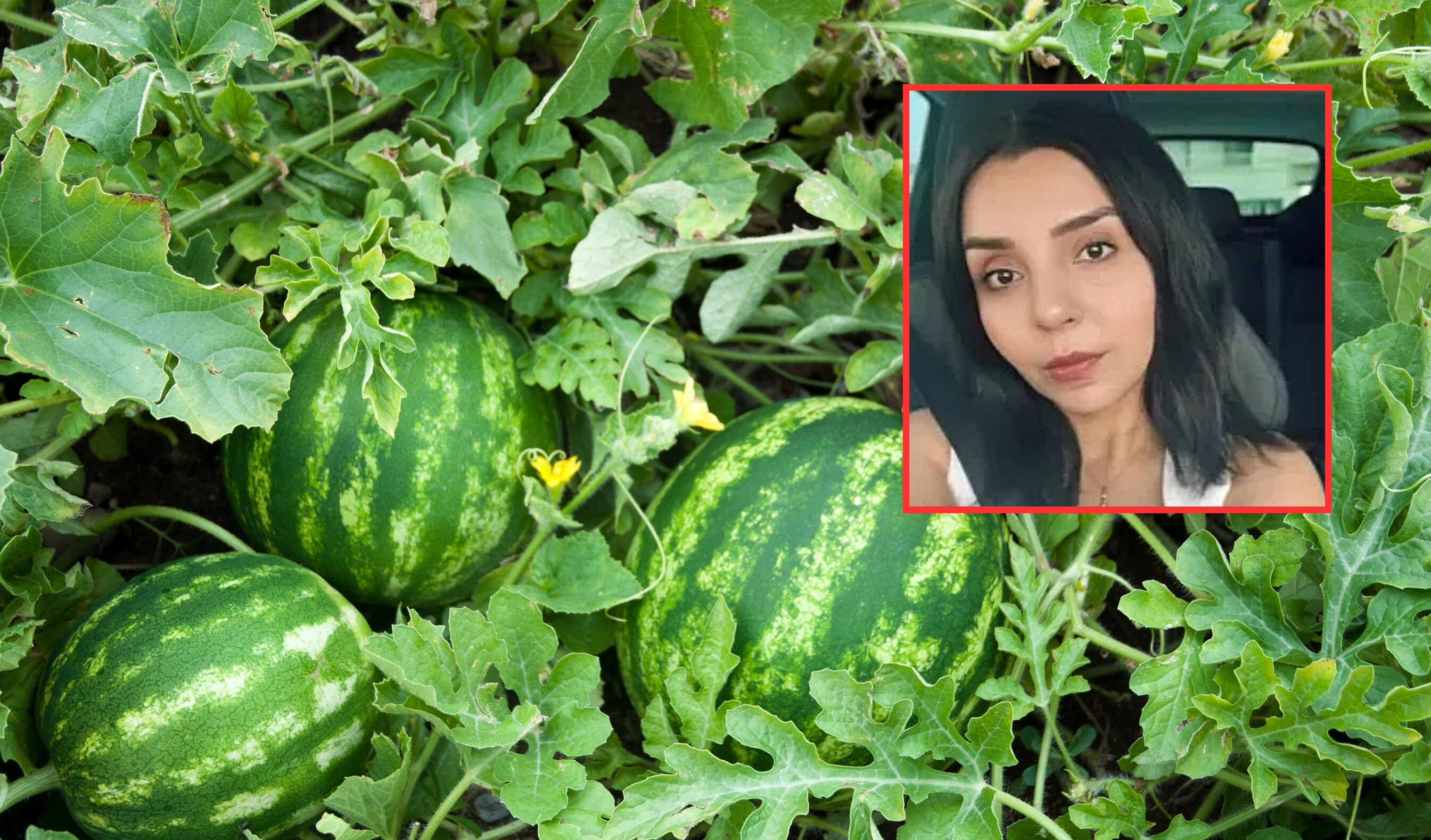 Tansu Göktepeli Belediyeye Seslendi