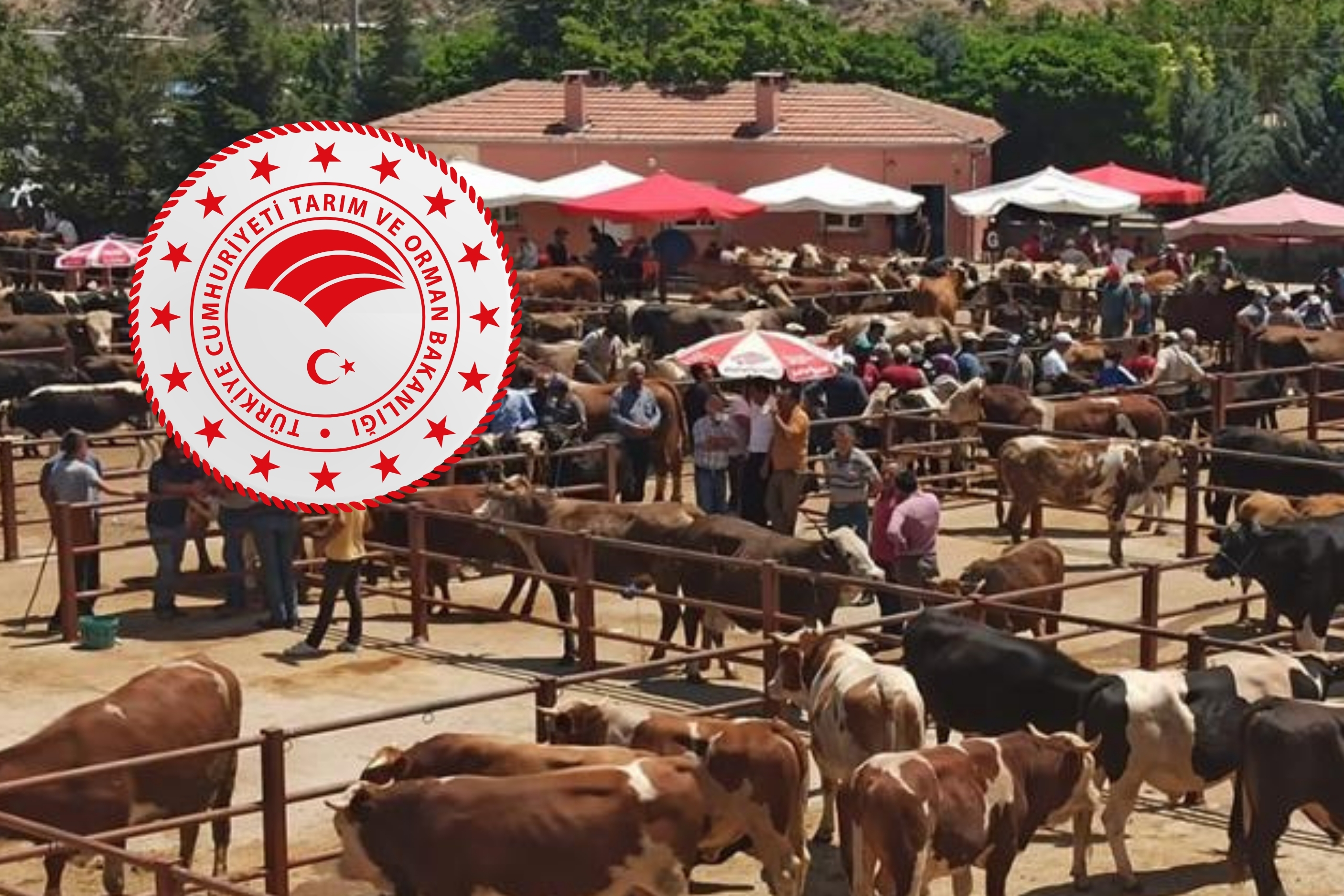 Tarım Ve Orman Hayvan Pazarları Açıklaması