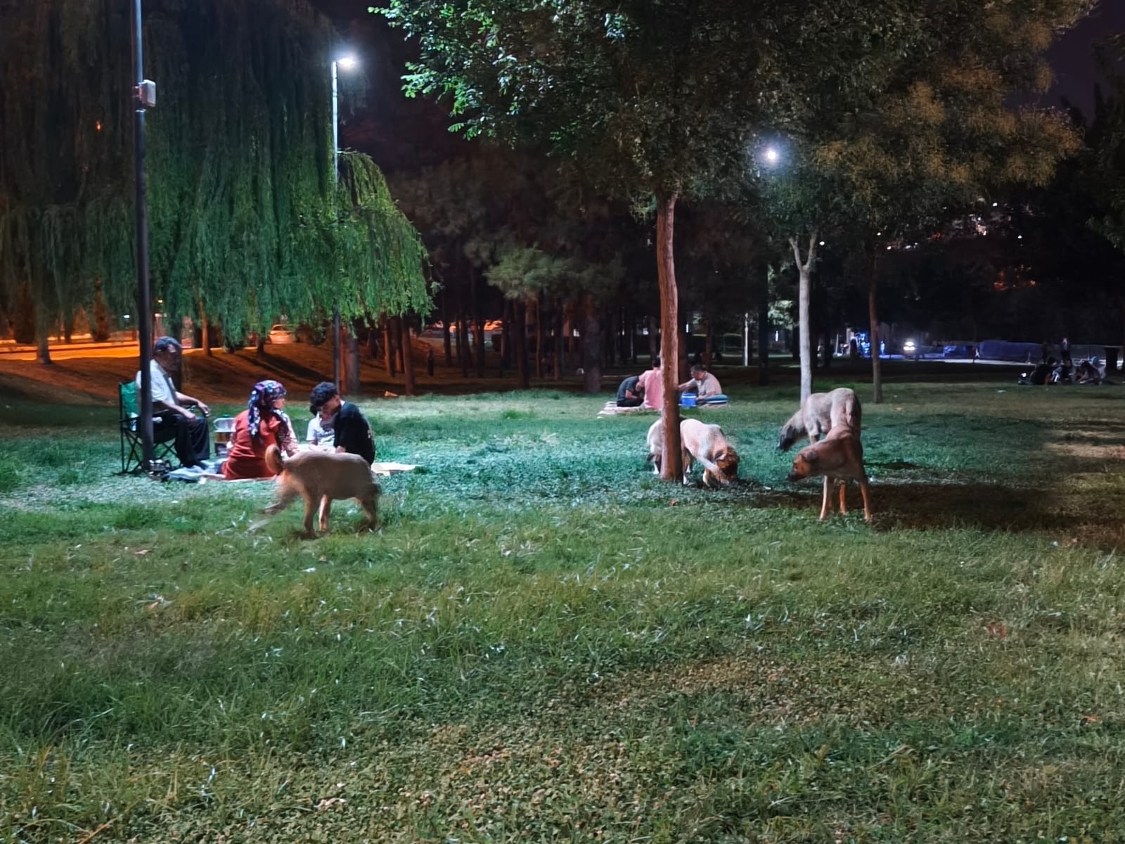 ŞANLIURFALILARIN AKIN ETTİĞİ BÖLGEDE KORKUTAN MANZARALAR
