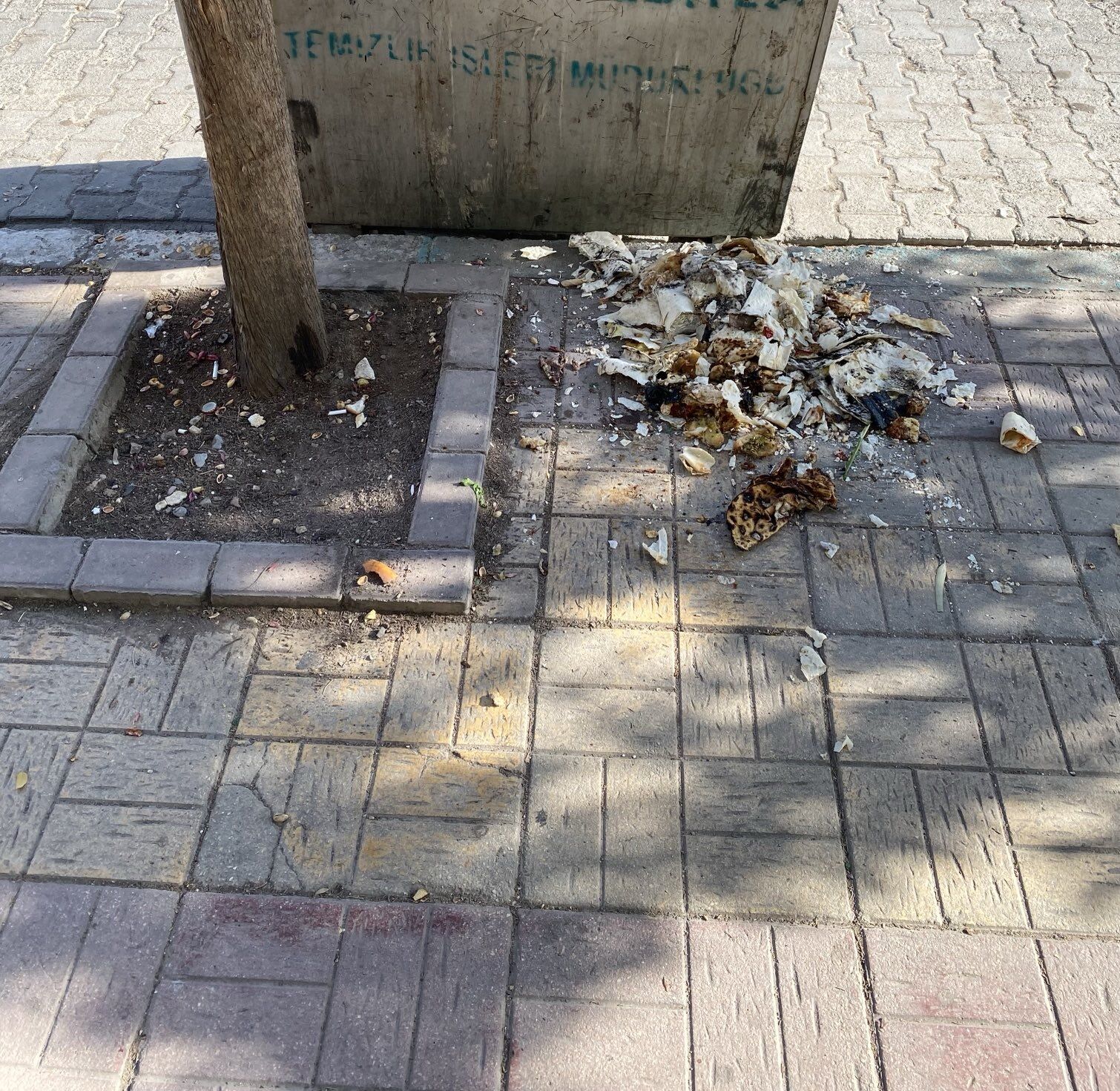 Çöpün Yanına Ekmek Döktüler
