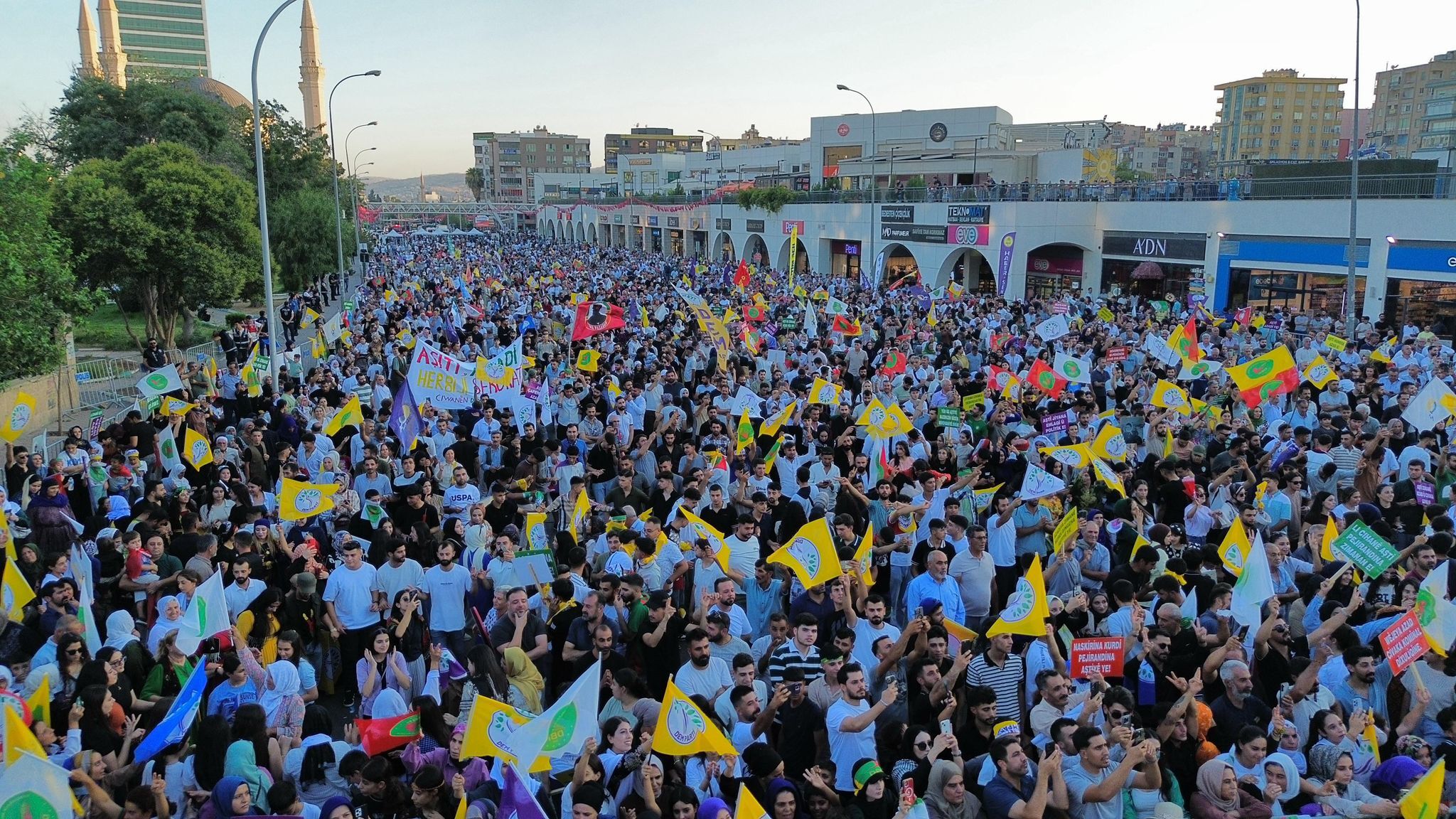 Dem Parti Şanlıurfa Milletvekili Dilan Kunt Ayan (1)