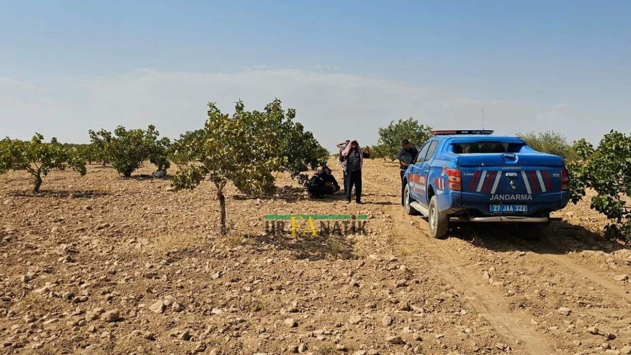 Fıstık Bahçesinde Kardeşler Arasında Silahlı Kavga Çıktı (2)