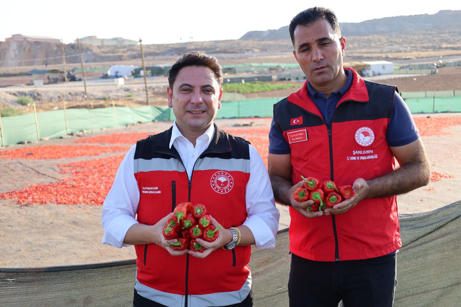 Haliliye’de Urfa İsotu Üretim Alanları Denetimden Geçti (2)