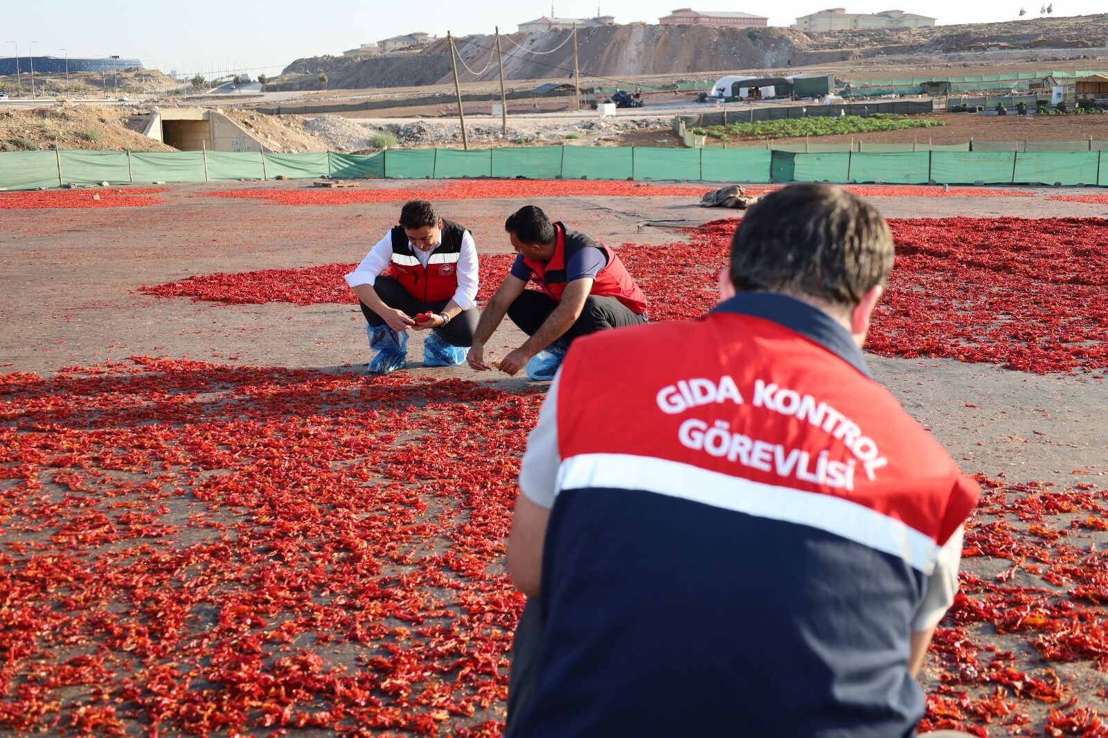 Haliliye’de Urfa İsotu Üretim Alanları Denetimden Geçti (3)