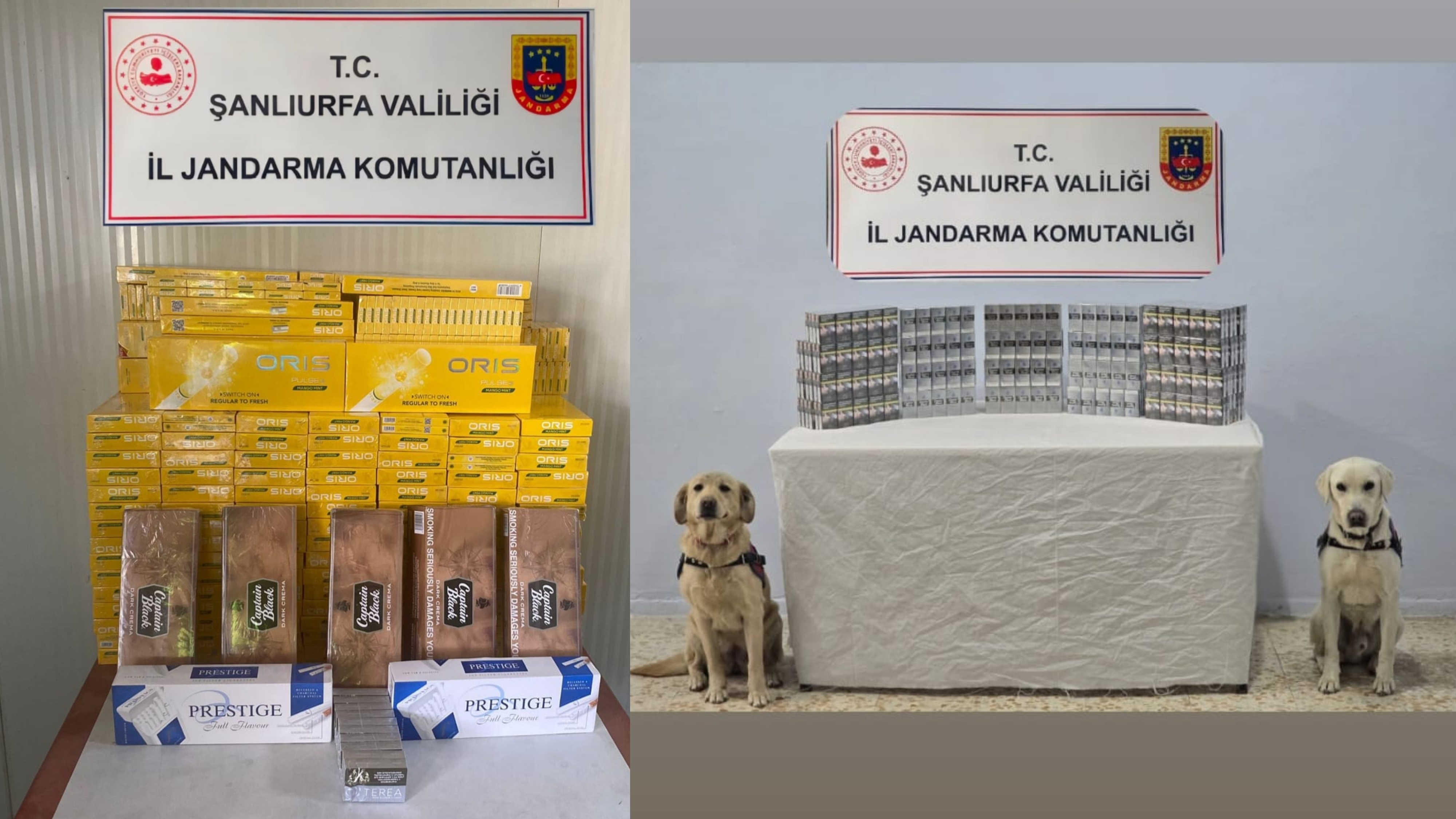 Hassas Burunlu Köpekler Ile Jandarmadan Operasyon