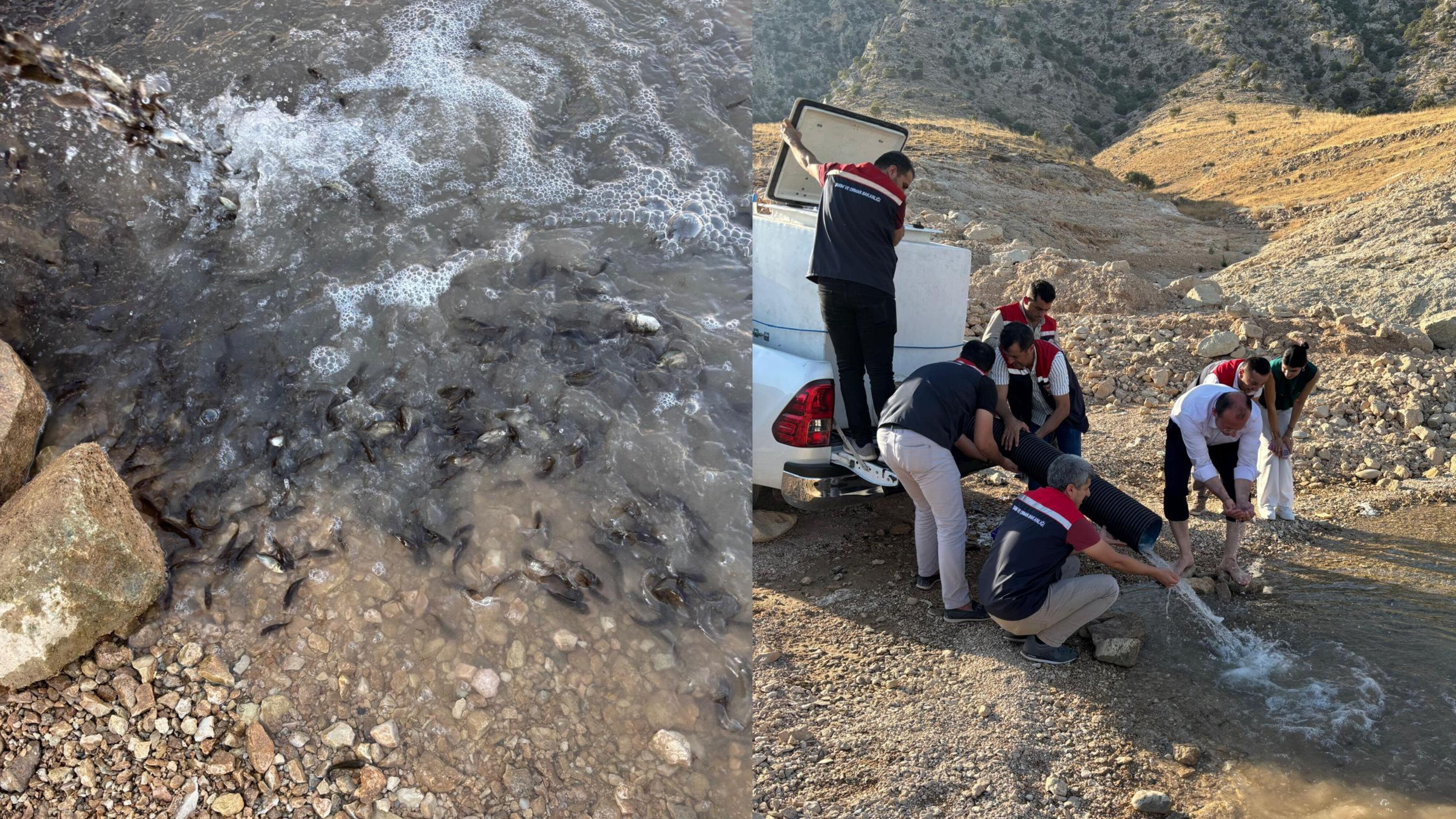 Mardin Il Tarım Ve Orman Müdürlüğü