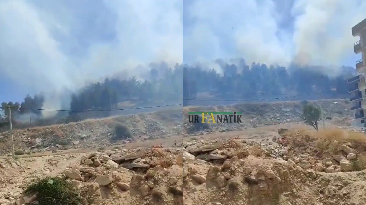 Şanlıurfa’nın Eyyübiye Ilçesinde Ormanlık Alanda Çıkan Yangın Itfaiye Ekipleri Tarafından Kontrol Altına Alındı (2)