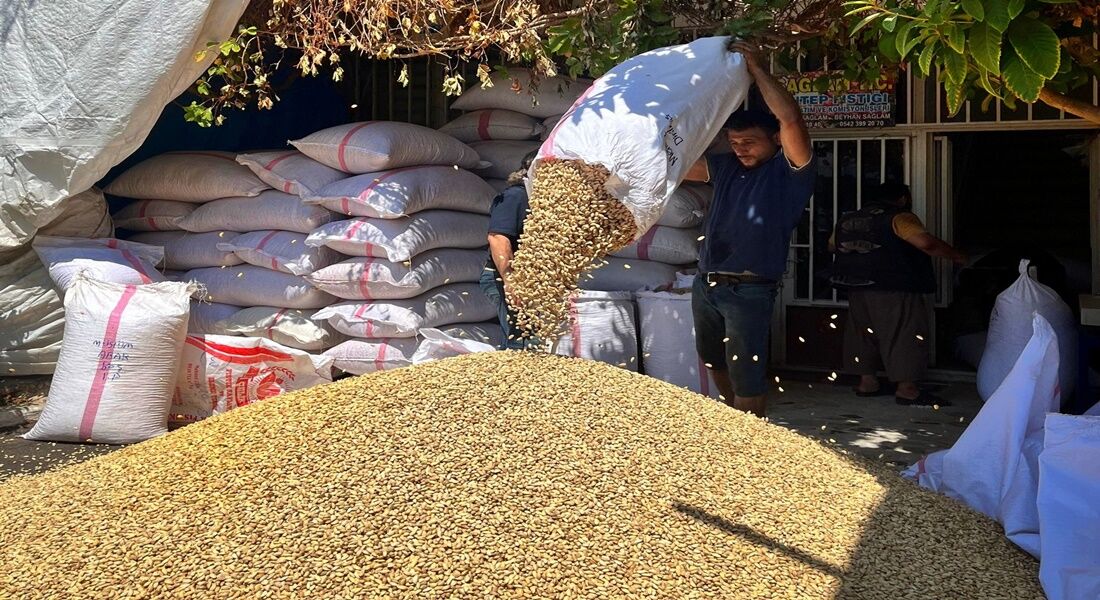 Şanlıurfa’da Fıstık Ateş Pahası! Rekor Üstüne Rekor1