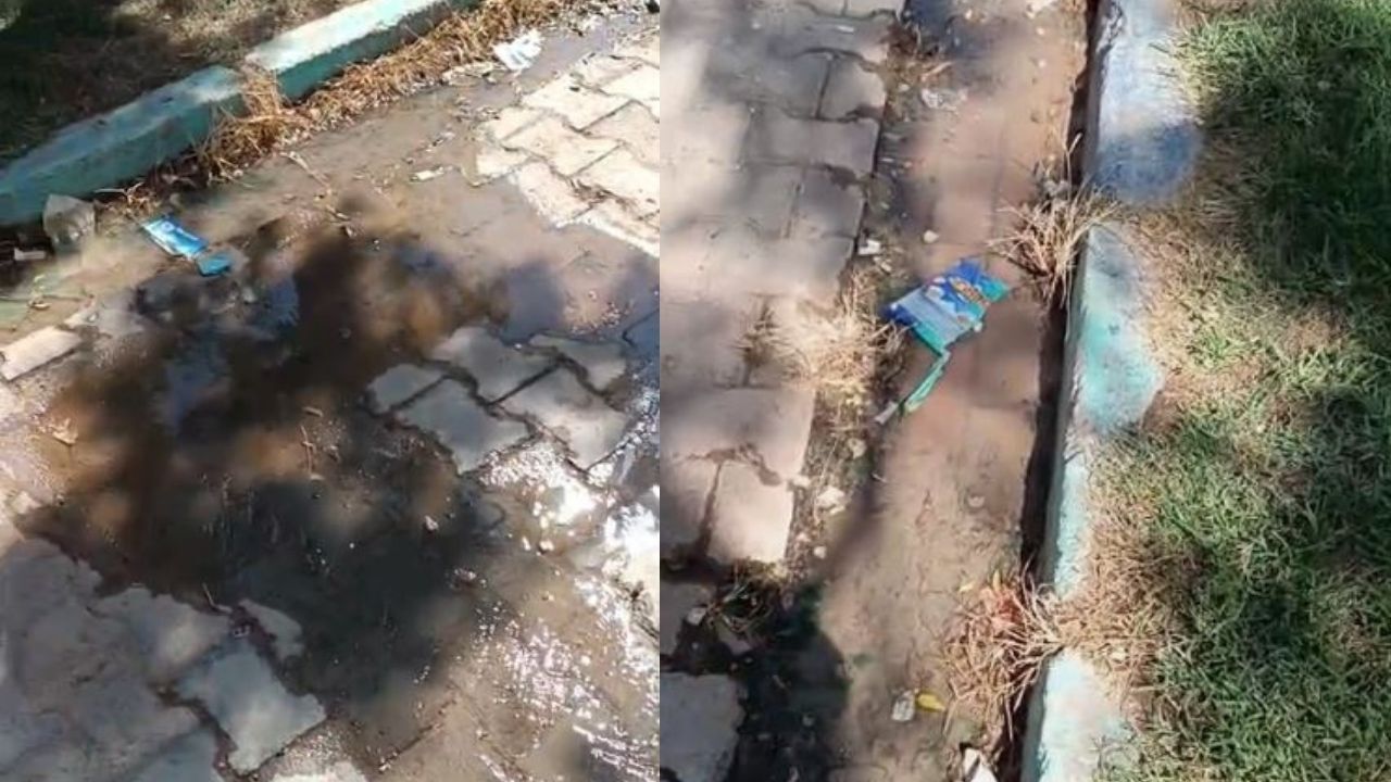 Şanlıurfa'da Bu Soruna Çözüm Bulunamıyor Kalıcı Çalışma Yok! (3)