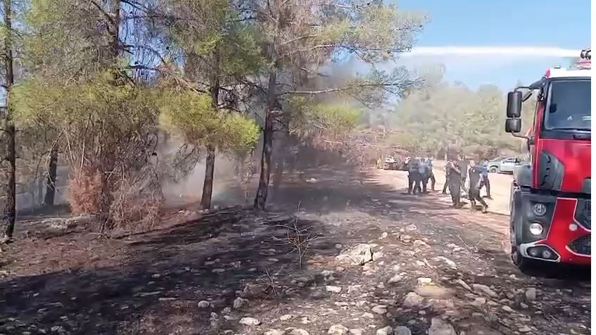Şanlıurfa’nın Karaköprü İlçesinde Orman Yangını Korkuttu (2)