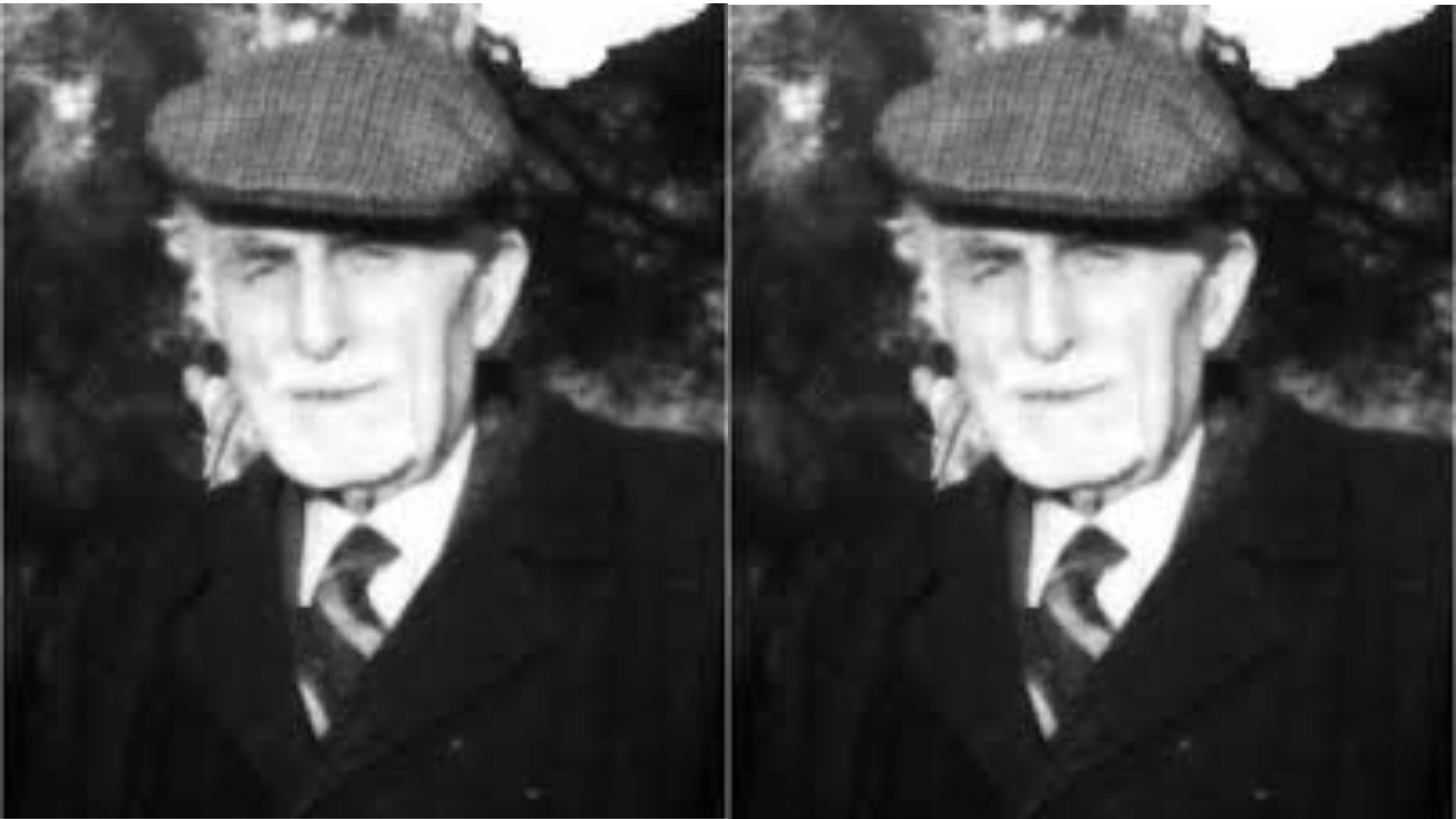 Hafız Hamid Efendi
