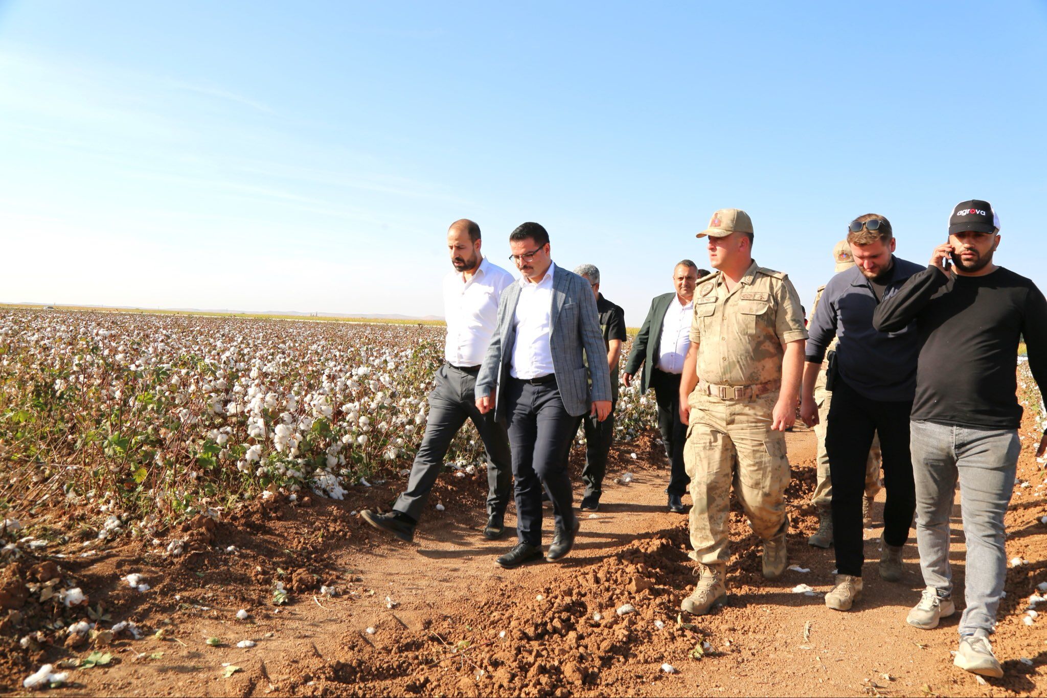 Harran Kaymakamı Harun Reşit Han Biçerdöverle Tarlaya Çıktı, Pamuk Biçti (2)