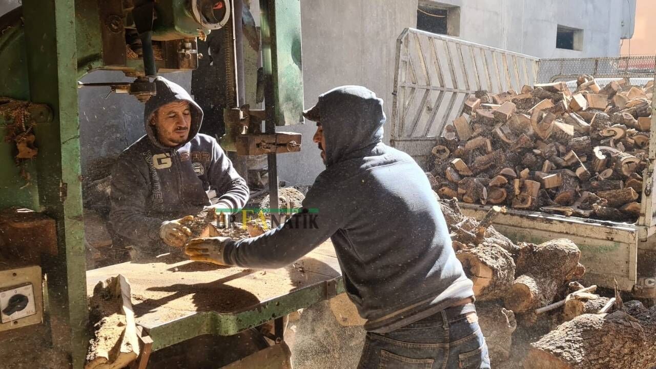 Şanlıurfa Büyükşehir Belediyesi, 200 Tonluk Meşe Odunu Alımı Için Ihaleye Çıkıyor (2)