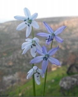 Şanlıurfa’da 5 Bölge Doğal Sit Alanı Olarak Tescillendi (2)