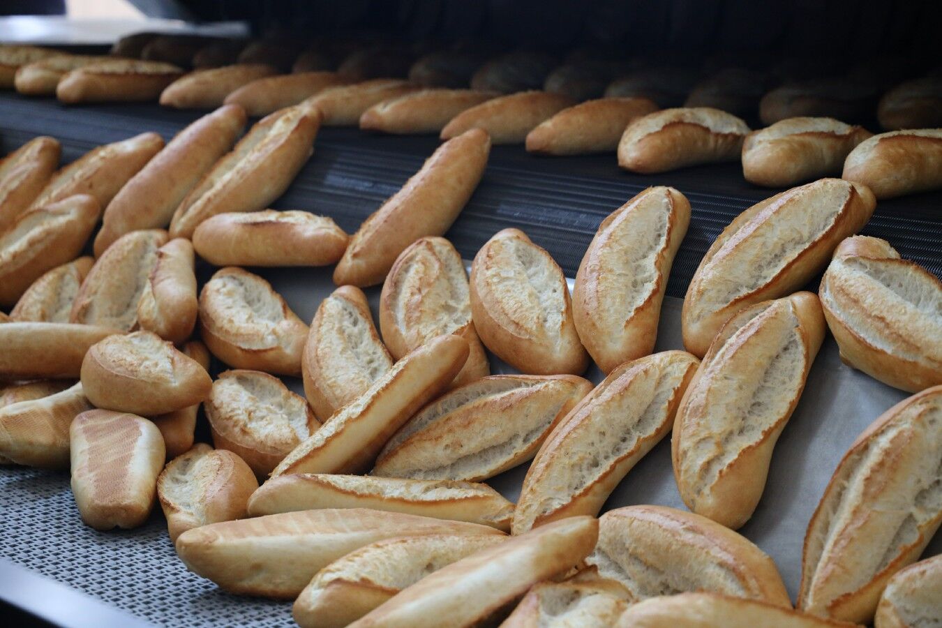 Şanlıurfa'da Halk Ekmek 7 Tl Oldu