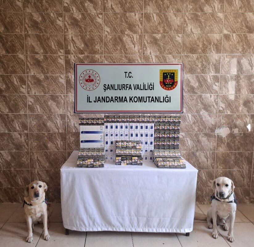 Şanlıurfa'da Kaçakçılık Operasyonu (3)
