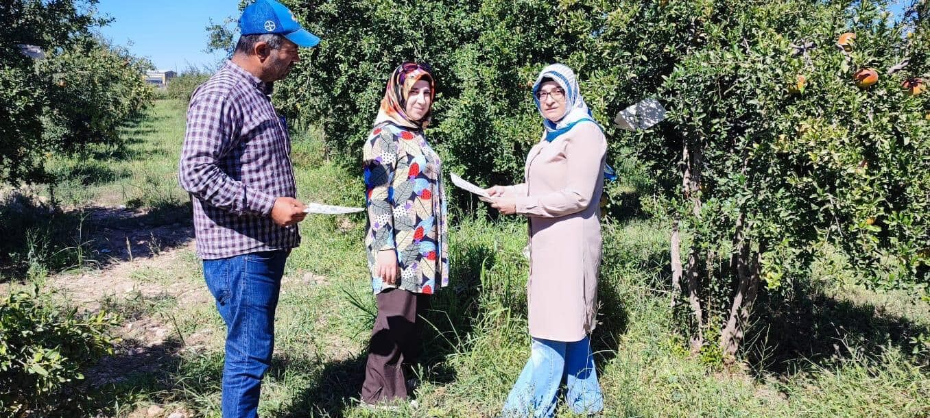 Şanlıurfa’da Organik Nar Üretiminde Yeni Bir Dönem Başladı! (3)
