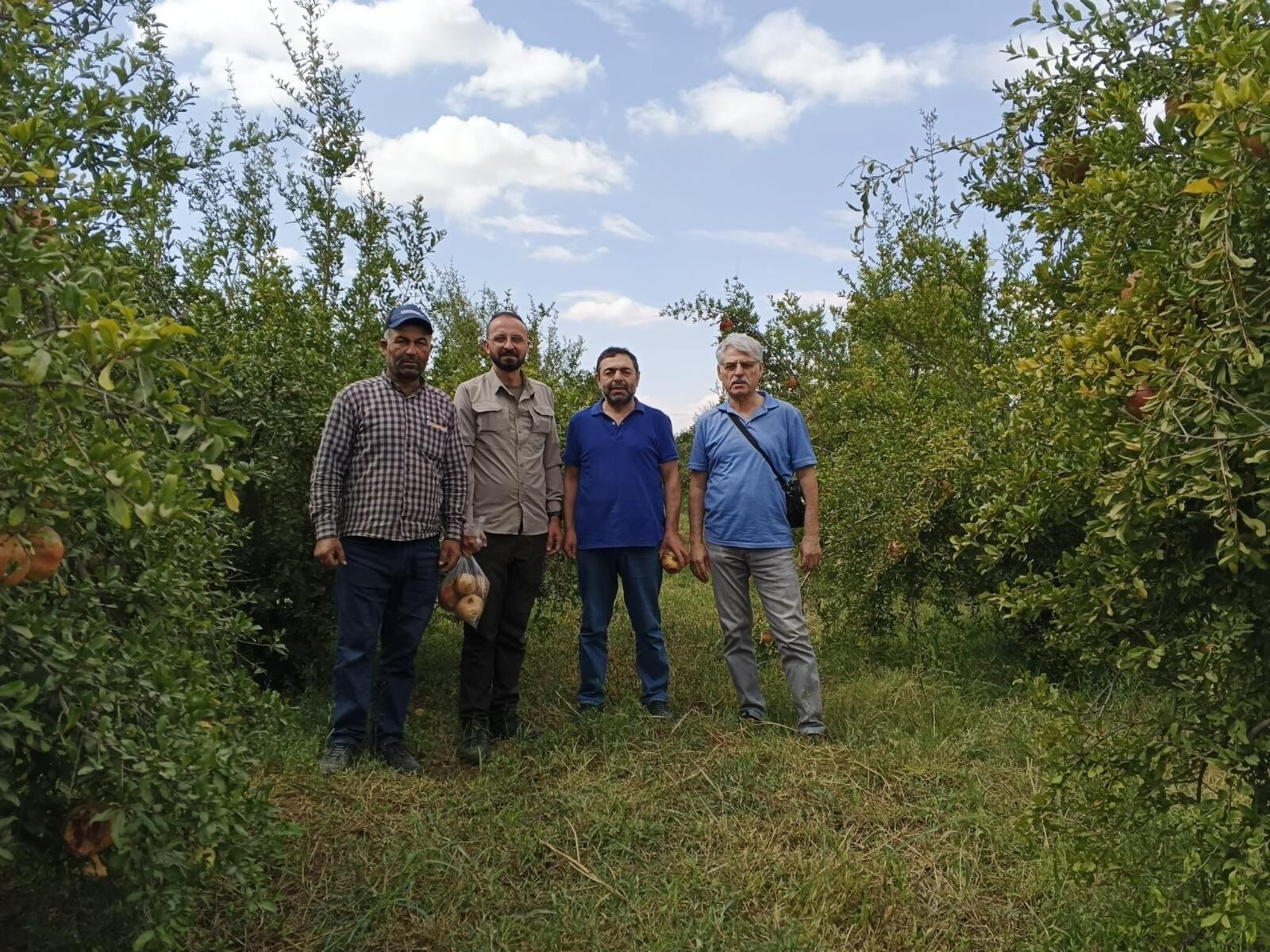 Şanlıurfa’da Organik Nar Üretiminde Yeni Bir Dönem Başladı! (4)
