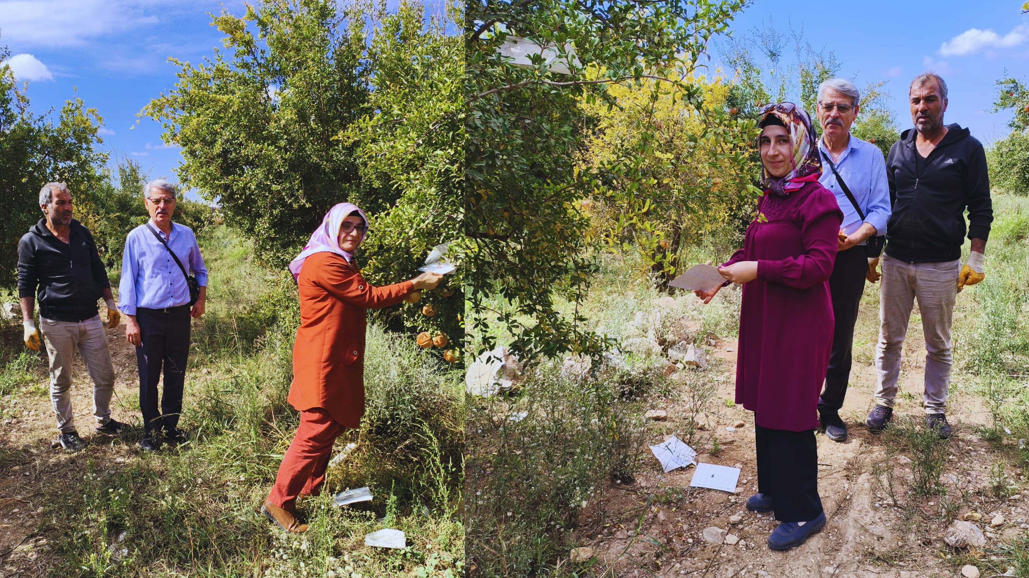 Şanlıurfa’da Tarımda Fark Yaratacak Proje Görsel